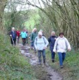 /album/a25-fevrier-2016-rando-villepail/a2016-02-25-rando-villepail-29r-1001x1024-jpg/
